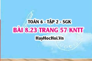 Bài 8.23 trang 57 Toán 6 Tập 2 Kết nối tri thức